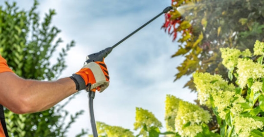 seasonal pest control